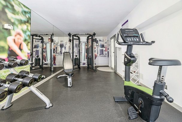 FERGUS Cactus Garden