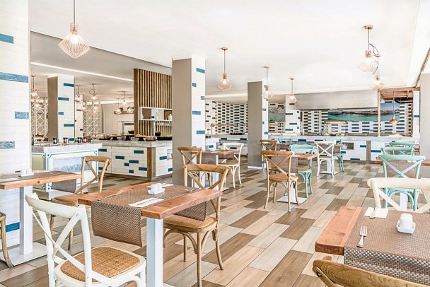 FERGUS Cactus Garden