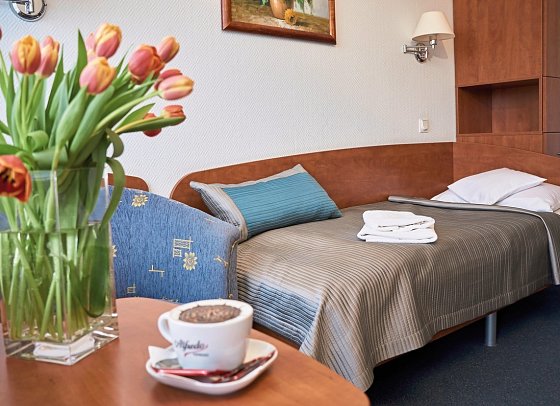 Hotel Wellness Medical Spa Unitral - Wohnbeispiel Einzelzimmer (Zimmercodierung EB1)