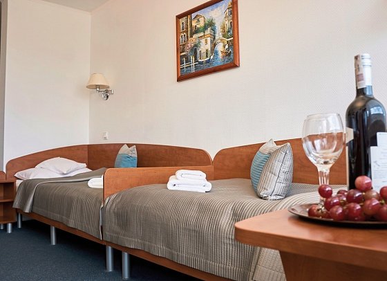 Hotel Wellness Medical Spa Unitral - Wohnbeispiel Doppelzimmer Bestpreis (Zimmercodierung DP1)