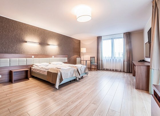 Olymp III - Wohnbeispiel Suite (Zimmercodierung WB1)