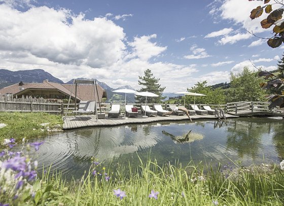 Natur & Wellnesshotel Höflehner - Naturbadeteich