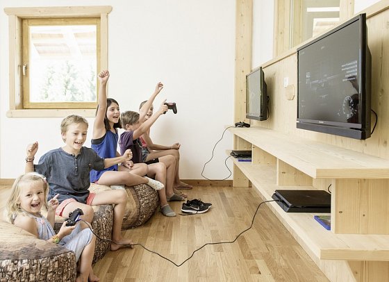 Natur & Wellnesshotel Höflehner - Gaming Zone