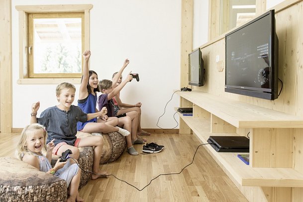 Natur & Wellnesshotel Höflehner - Gaming Zone