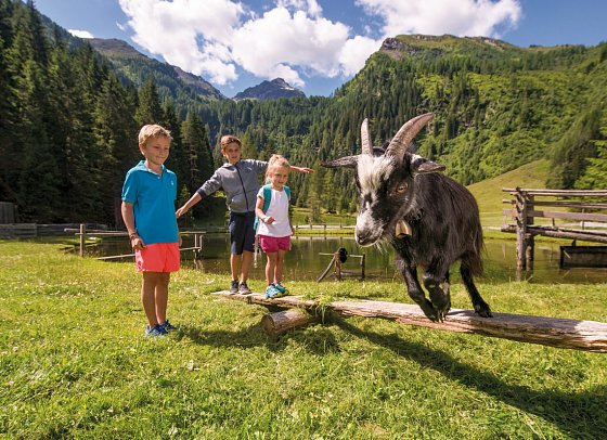 Natur & Wellnesshotel Höflehner