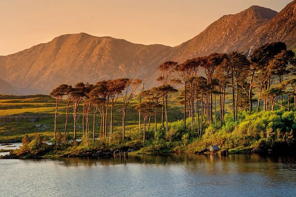 Höhepunkte rund um Galway - Twelve Pines Island, Connemara Nationalpark