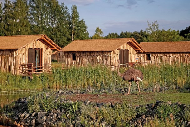 Serengeti Park Lodge - Wohnbeispiel Masai Mara (Zimmercodierungen UX1, XB1 & XG1)