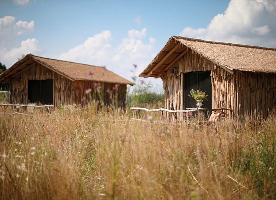 Serengeti Park Lodge - Wohnbeispiel Masai Mara (Zimmercodierungen UX1, XB1 & XG1)