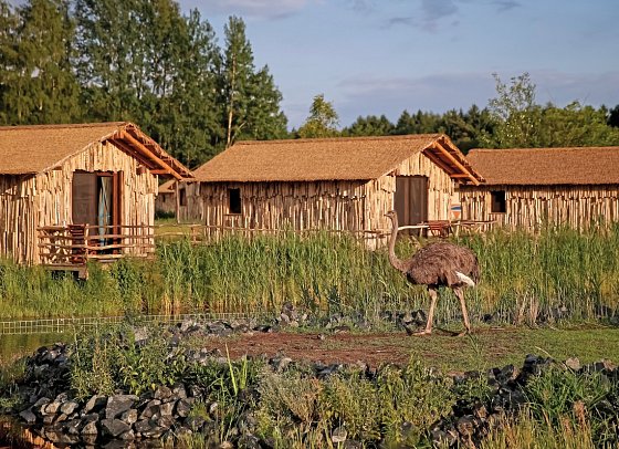 Serengeti Park Lodge - Wohnbeispiel Masai Mara (Zimmercodierungen UX1, XB1 & XG1)