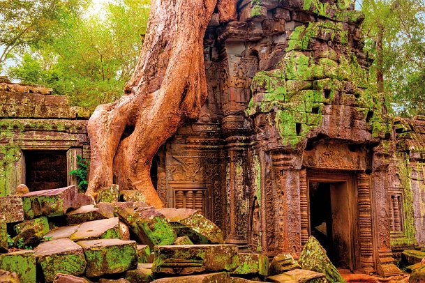 Vietnam & Kambodschas Highlights erleben - Ta Prohm Tempel, Angkor