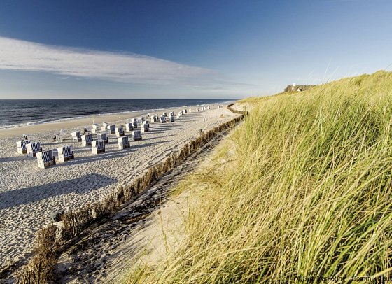 Inselhopping Nordfriesland