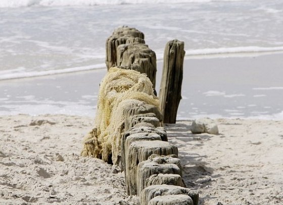 Inselhopping Nordfriesland