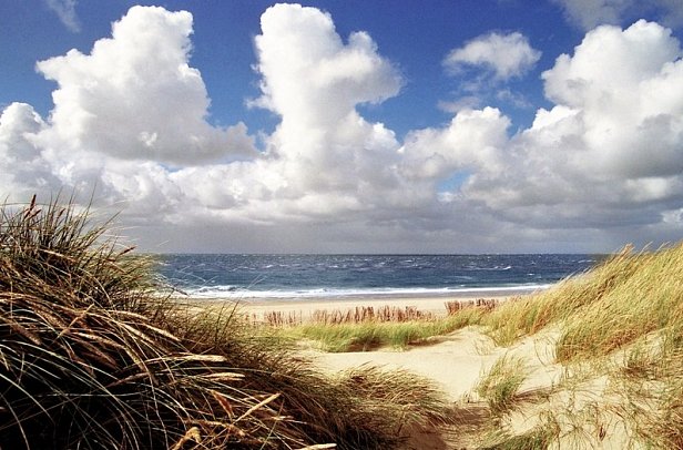 Apartments Roth am Strande