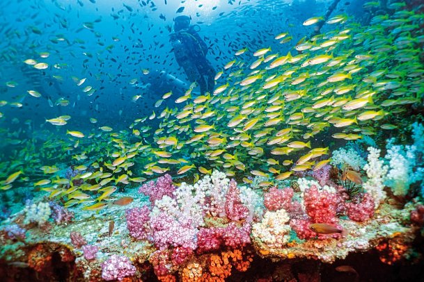 SAii Phi Phi Island Village