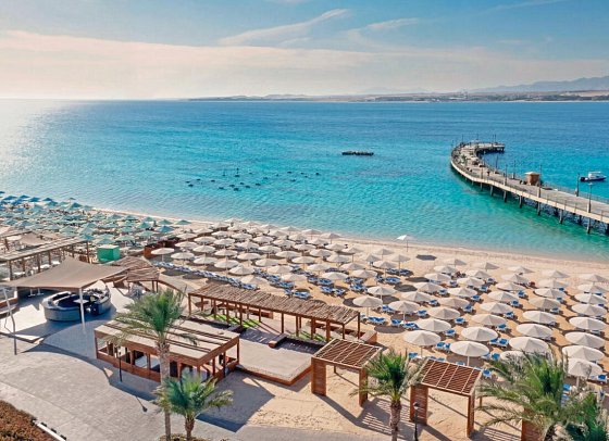 SRNTY Sahl Hasheesh