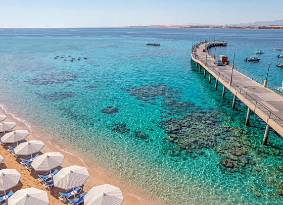 SRNTY Sahl Hasheesh