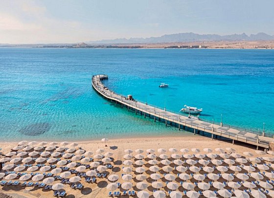 SRNTY Sahl Hasheesh