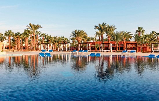 Calimera Blend Paradise