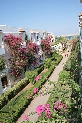 Minamark Beach Resort & Spa - Beispiel Blick: Doppelzimmer Standard Gartenblick (Zimmercodierungen DGG & DCG)