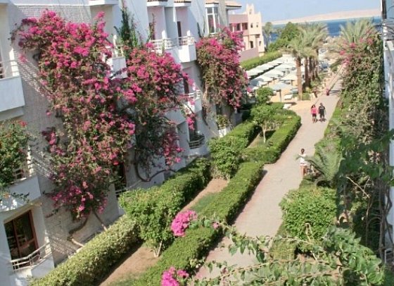 Minamark Beach Resort & Spa - Beispiel Blick: Doppelzimmer Standard Gartenblick (Zimmercodierungen DGG & DCG)