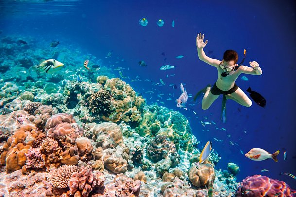 Schlager unter Palmen: Ägypten - Traumurlaub am Roten Meer