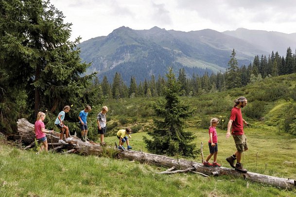 Frieden - Das Alpine Panorama Hotel