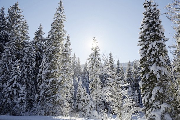 Entners am See - Umgebung