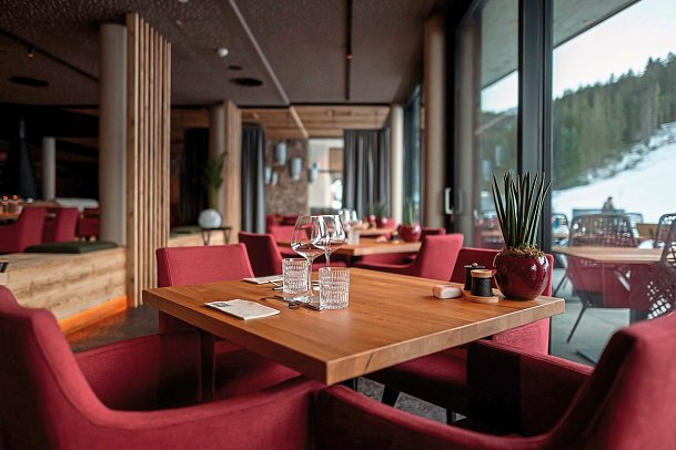 ADEA Lifestyle Suites Fieberbrunn