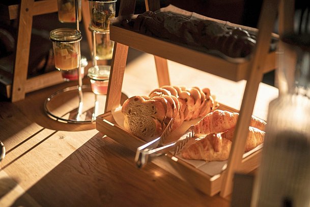 ADEA Lifestyle Suites Fieberbrunn