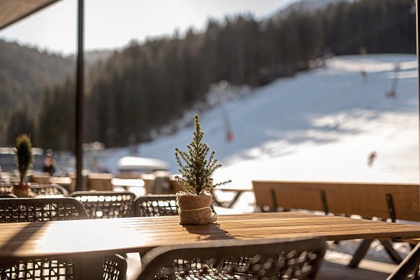 ADEA Lifestyle Suites Fieberbrunn