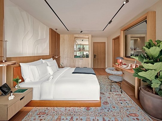 Aliée Istanbul - Supere Chambre
