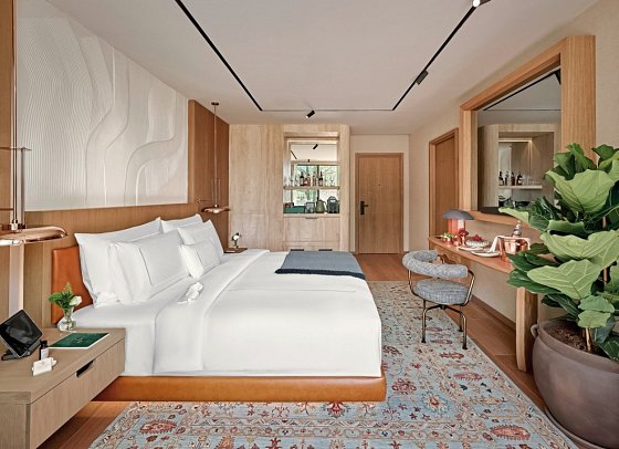 Aliée Istanbul - Supere Chambre