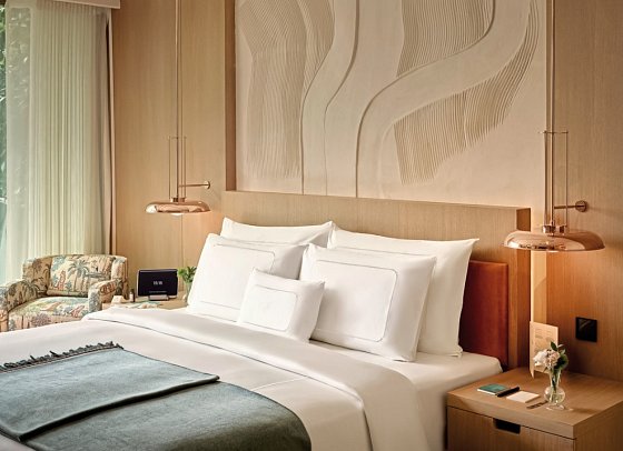 Aliée Istanbul - Supere Chambre