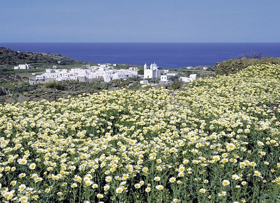 Kykladen-Inselhüpfen: Mykonos, Naxos, Santorin