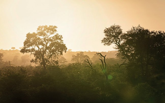 Motswari Private Game Reserve