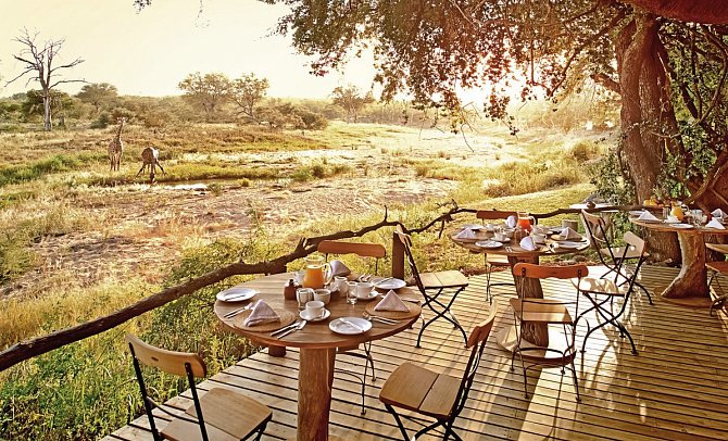 Motswari Private Game Reserve