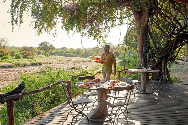 Motswari Private Game Reserve