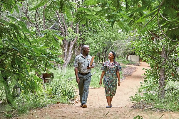 Motswari Private Game Reserve