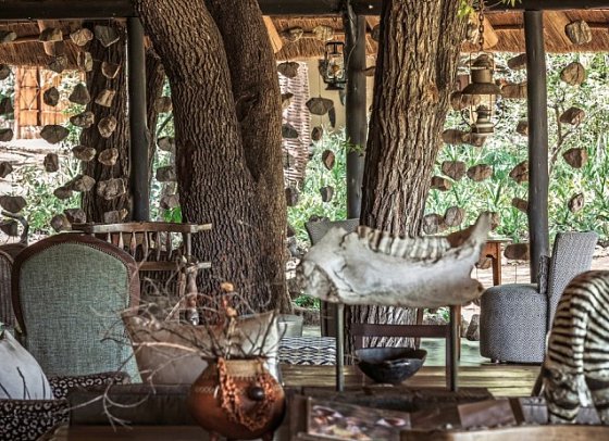 Motswari Private Game Reserve