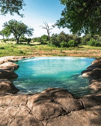 Motswari Private Game Reserve