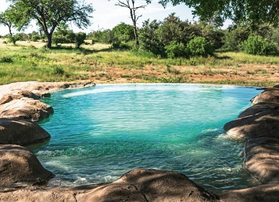 Motswari Private Game Reserve