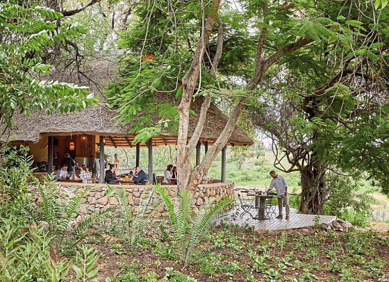 Motswari Private Game Reserve