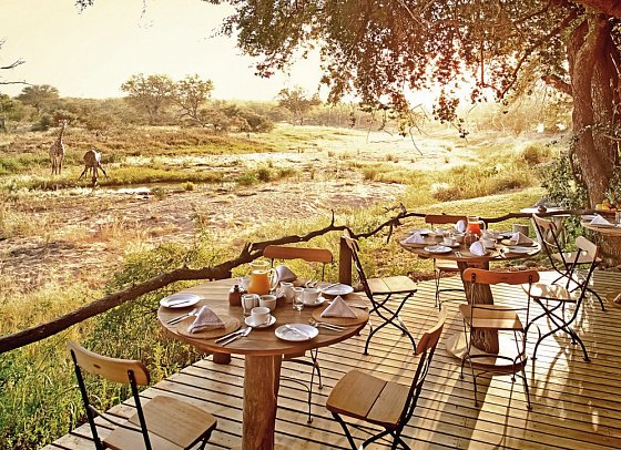 Motswari Private Game Reserve