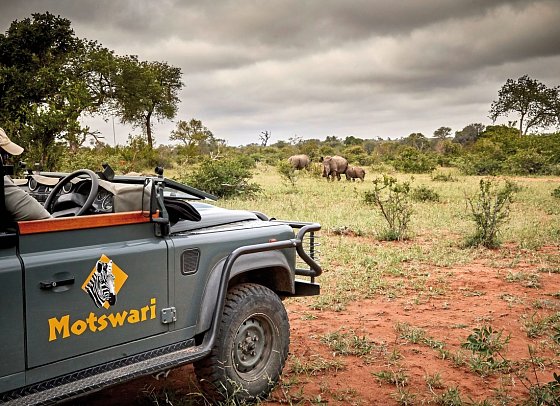 Motswari Private Game Reserve