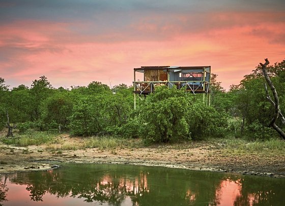 Motswari Private Game Reserve