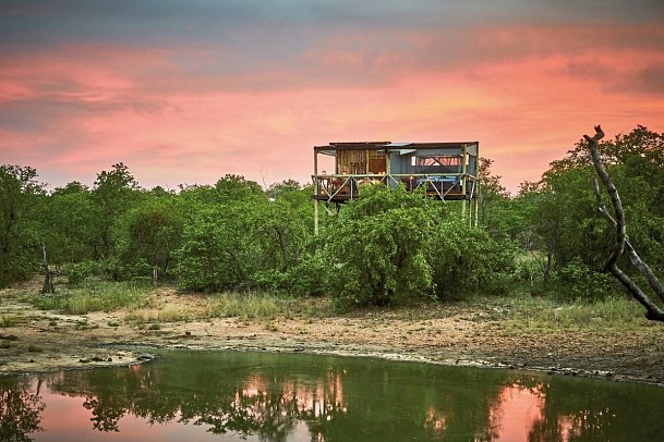 Motswari Private Game Reserve