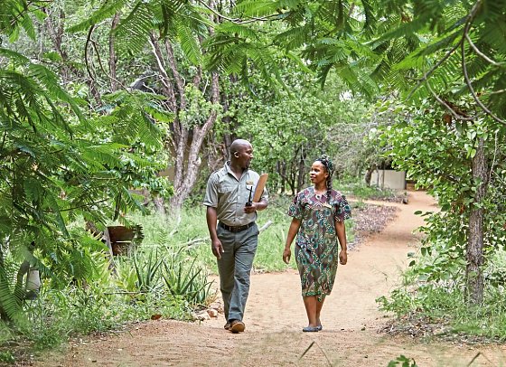 Motswari Private Game Reserve
