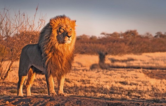 Naturwunder Tansanias & Welterbe Sansibar