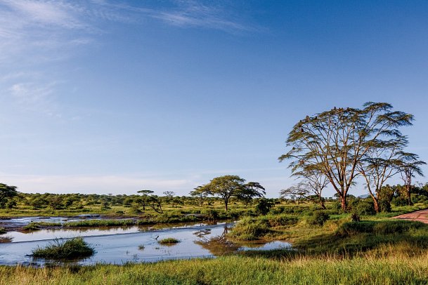 Abenteuer Tansania - Manyara Nationalpark