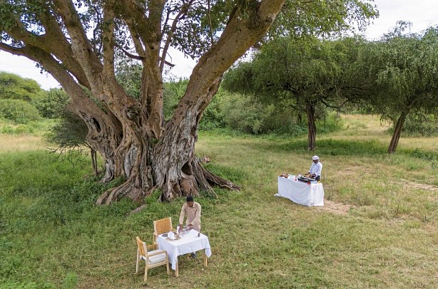 Abenteuer Tansania - Tarangire Conserve Camp